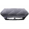 Капот, 2000-2002 TYG для KIA RIO 2000-2005 - фото 2